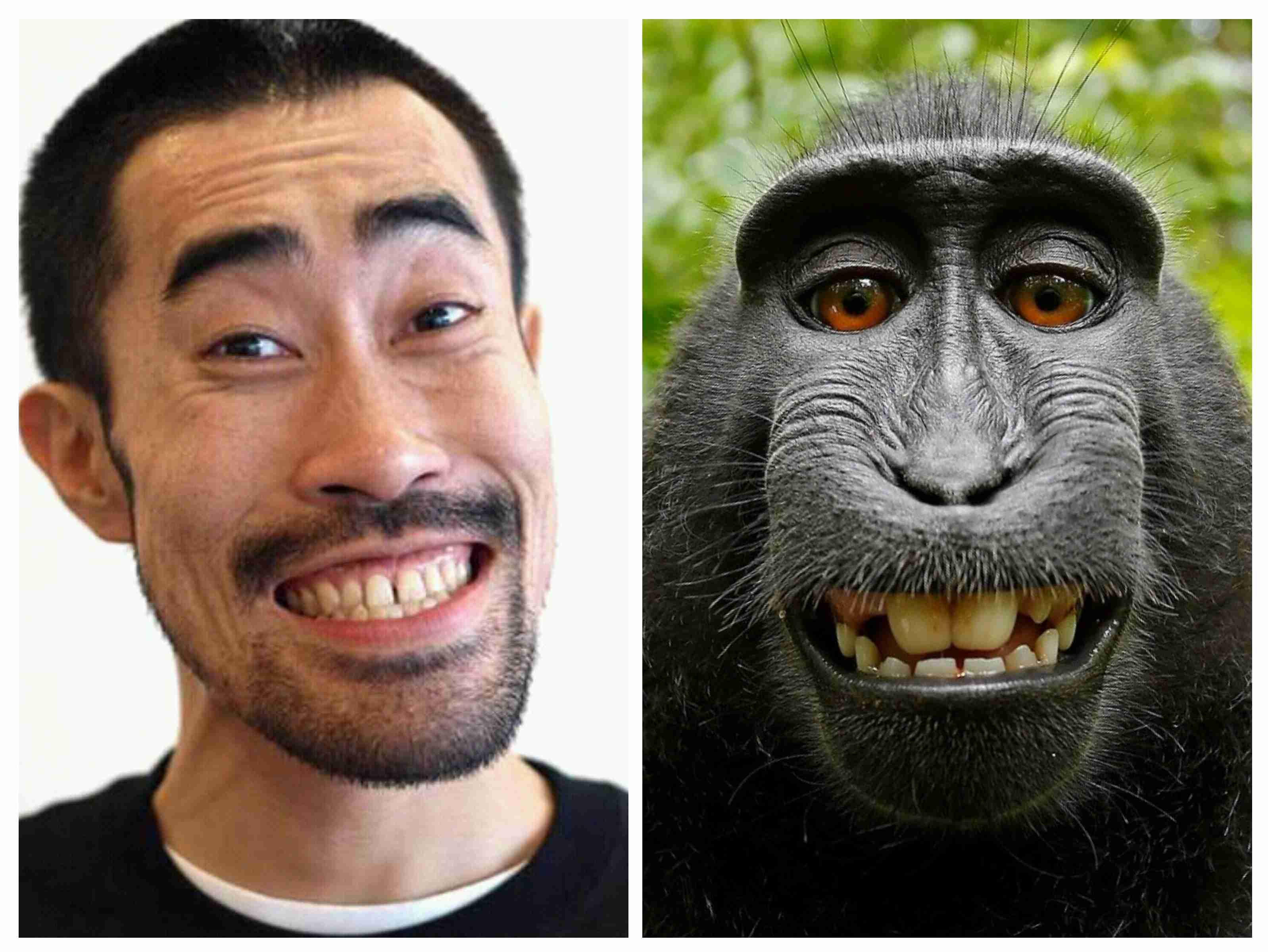 人間と人間以外で似てると思った画像を貼っていくトピ