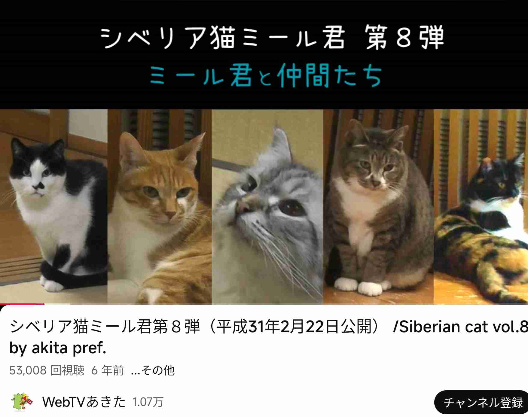 「クマに襲われたら頭蓋骨は粉々、顔も半分なくなる」“お前のところにクマ送る”発言の佐竹前秋田県知事独白40分「擁護派からの電話なんて切って当たり前」「知事時代、2300頭は駆除した」