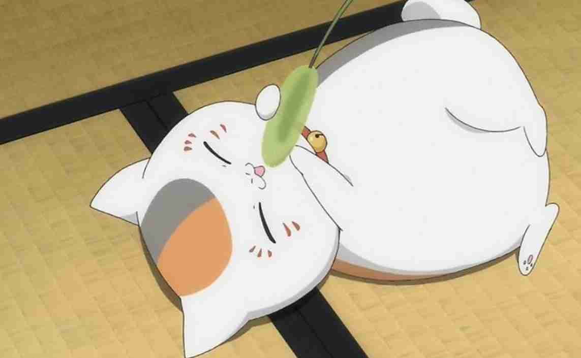 解像度高めの猫のキャラクターについて