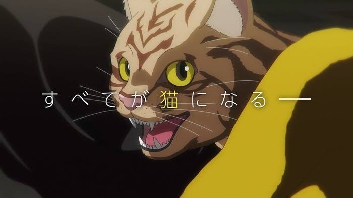 解像度高めの猫のキャラクターについて