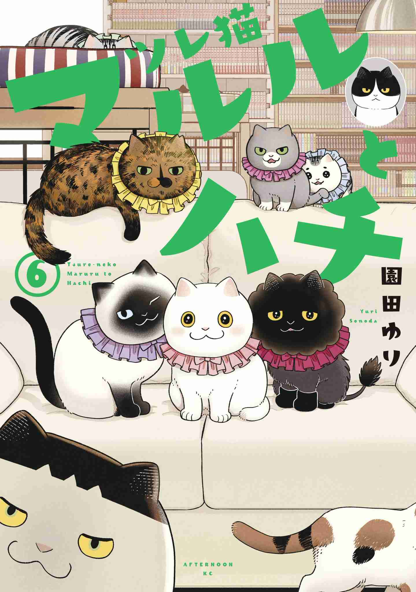 解像度高めの猫のキャラクターについて