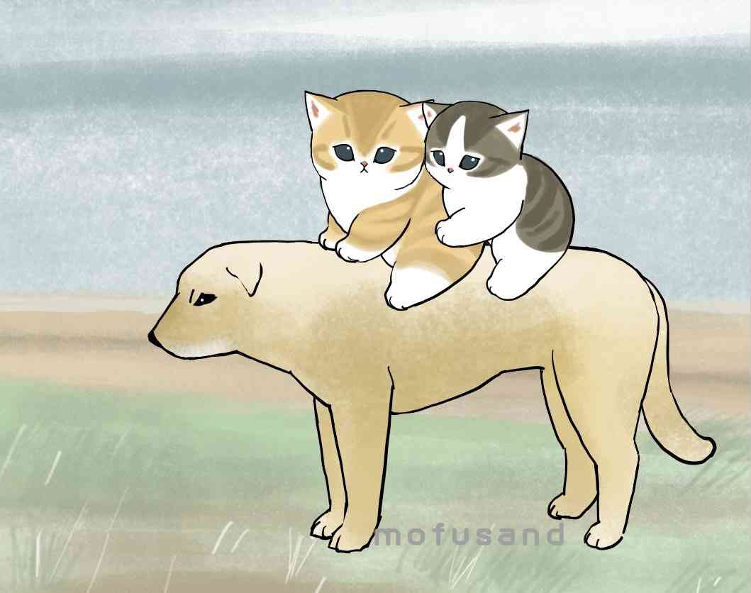 解像度高めの猫のキャラクターについて