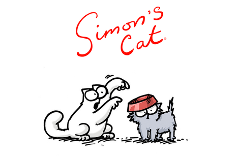 解像度高めの猫のキャラクターについて