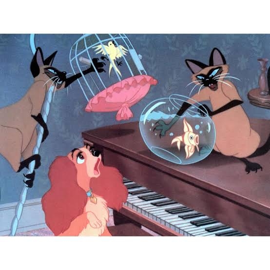 解像度高めの猫のキャラクターについて