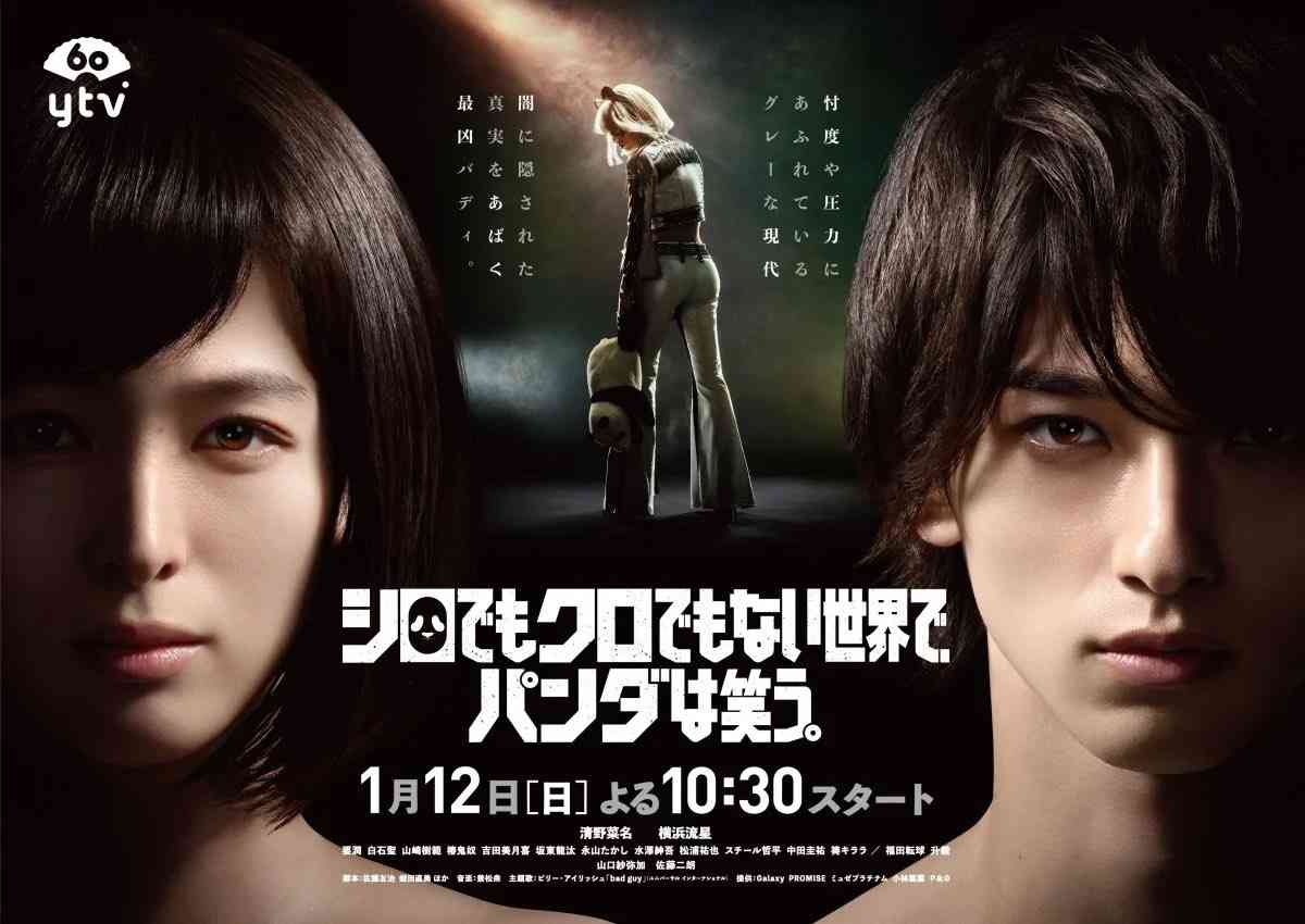 見てたはずだけどどんな内容だったか全然思い出せないドラマ