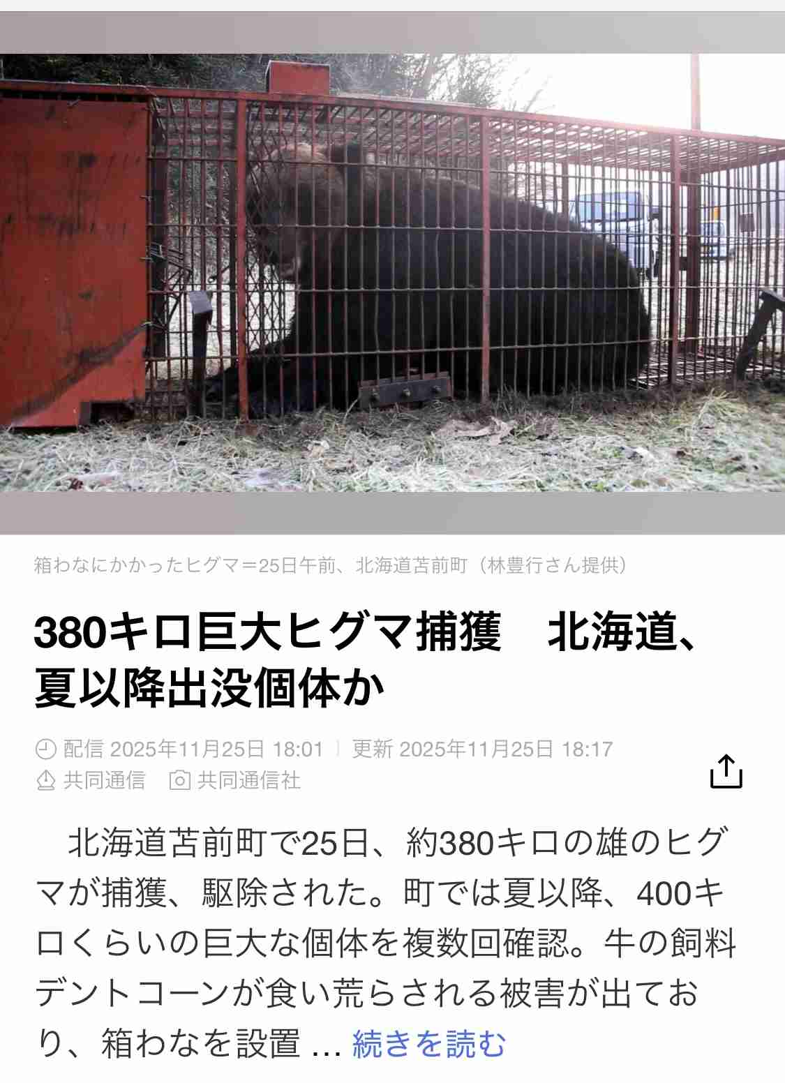 「稀に見る大きな個体」体長1.9m、体重400kg級の巨大グマを捕獲！300kg超の箱わなを倒した個体と同一か