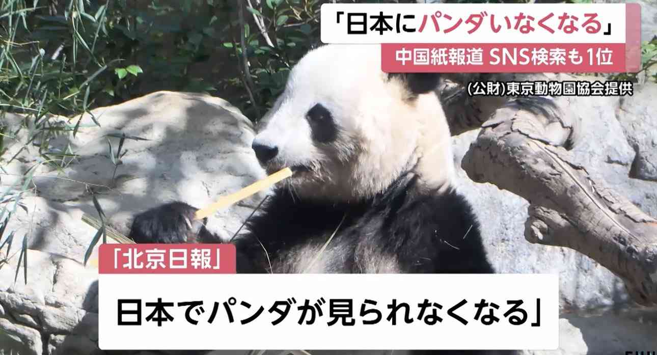 中国紙、日本軍が琉球併合を強行したと主張 「王宮に侵入し国王追放」