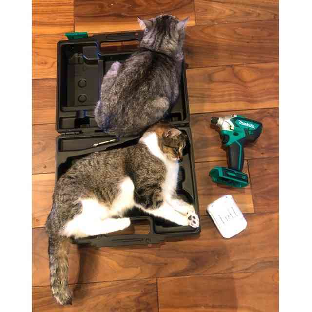 最近シンデレラフィットだった物✨