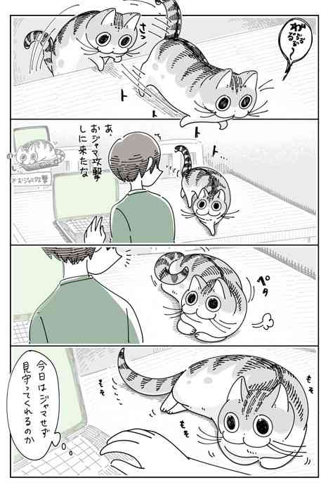 シンプルなイラストですごくかわいいと思うキャラクター