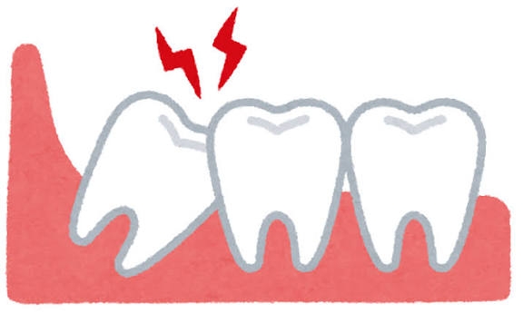 若いころに使ってよかったと思うお金の使い道