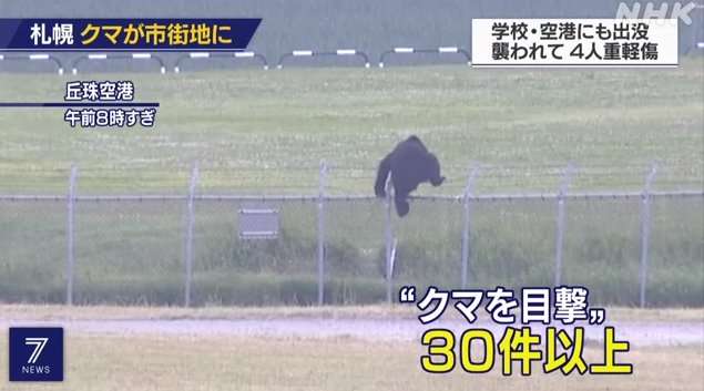 【ヒグマの写真あり】円山動物園『破壊した窓枠にしがみつくクマ』シマフクロウ用の「ヒヨコ・ホッケ」強奪か？エサの味覚えて