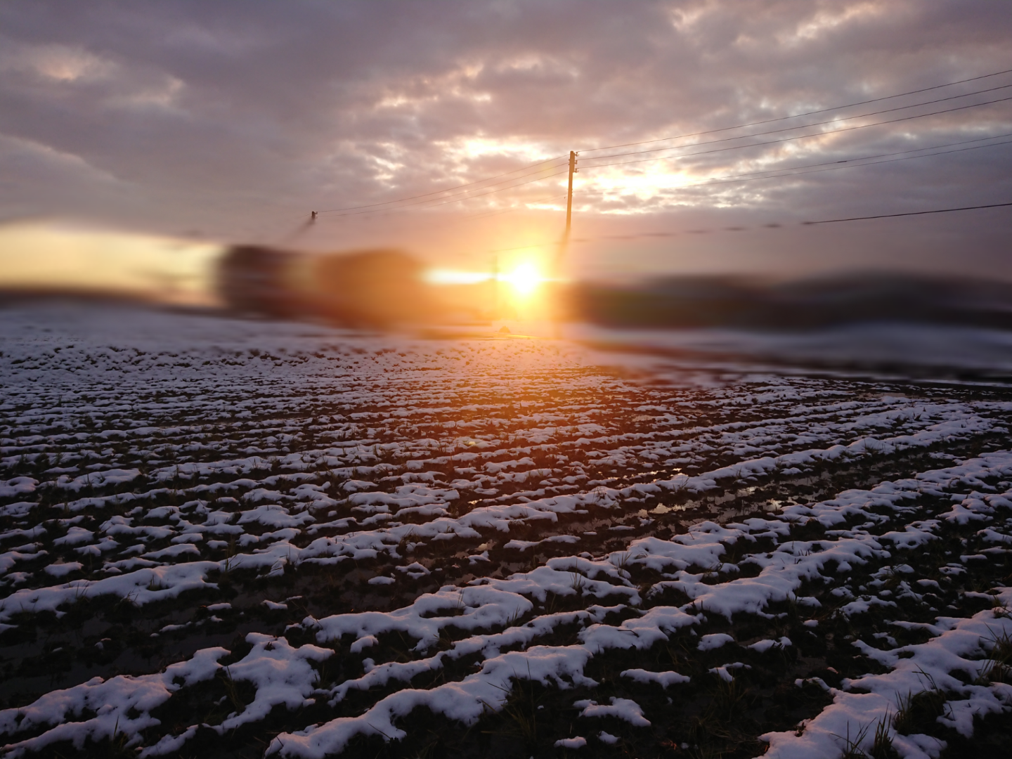 無職で独身実家暮らしの人