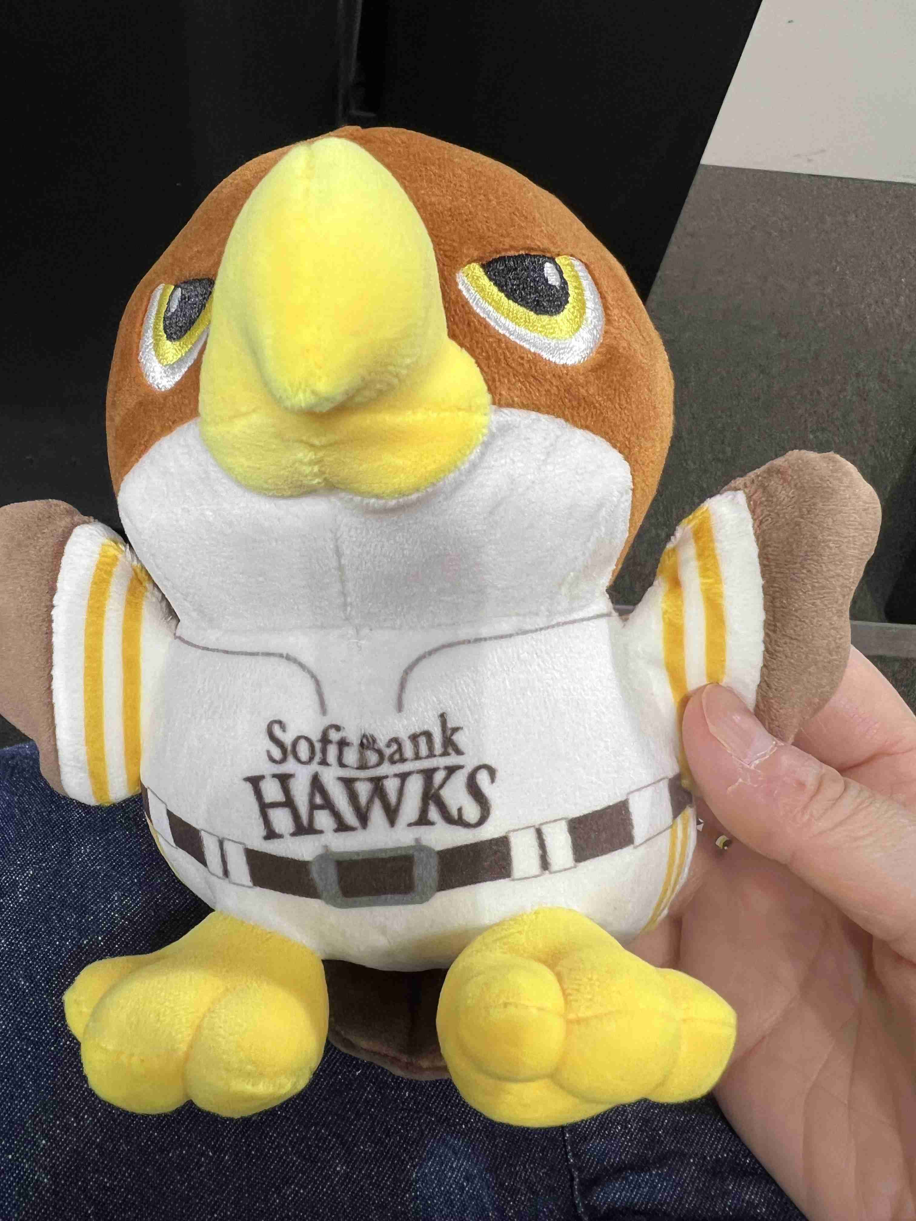 福岡ソフトバンクホークスファン集合！Part20