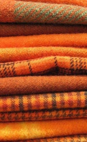 紅葉の色の物を集めるトピ🍂🍁