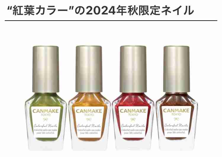 紅葉の色の物を集めるトピ🍂🍁