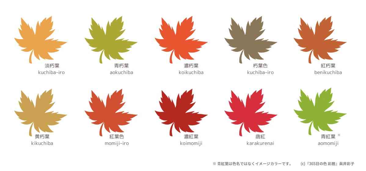 紅葉の色の物を集めるトピ🍂🍁