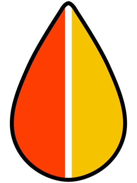 紅葉の色の物を集めるトピ🍂🍁