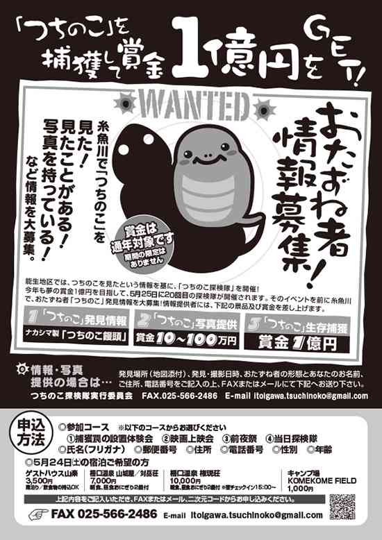 ツチノコなどUMAの値打ちについて