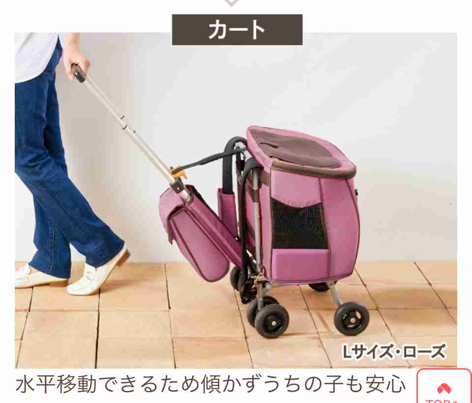 猫飼ってる人ならわかってくれそうなこと