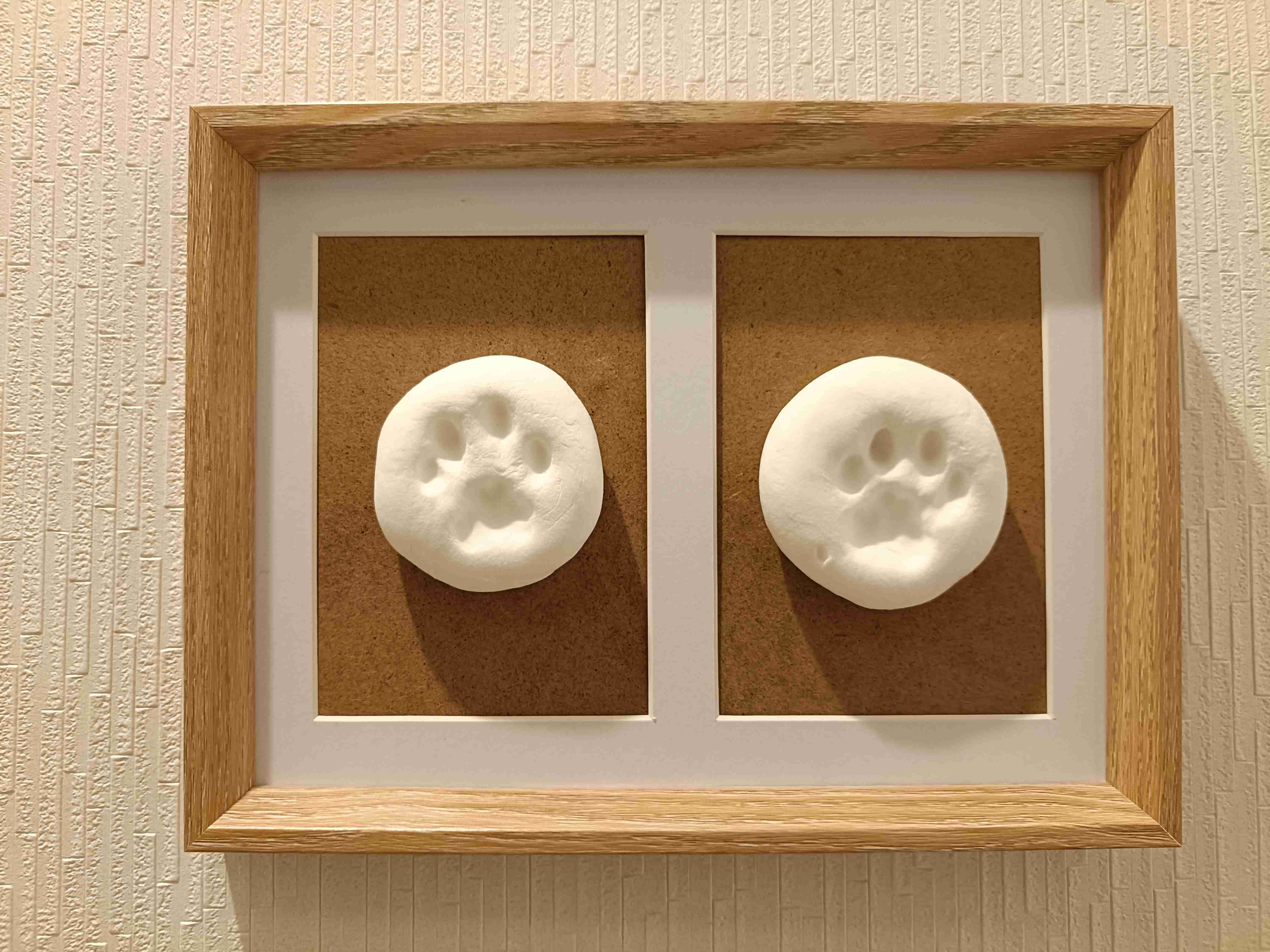 猫飼ってる人ならわかってくれそうなこと