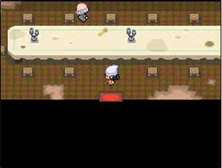 『ポケパーク カントー』来年2月5日開業で注意事項　ポケモン初の屋外常設施設で110段の階段を上れない人など入場できず