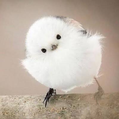 【年末年始】お子さんの看病中の方いますか？