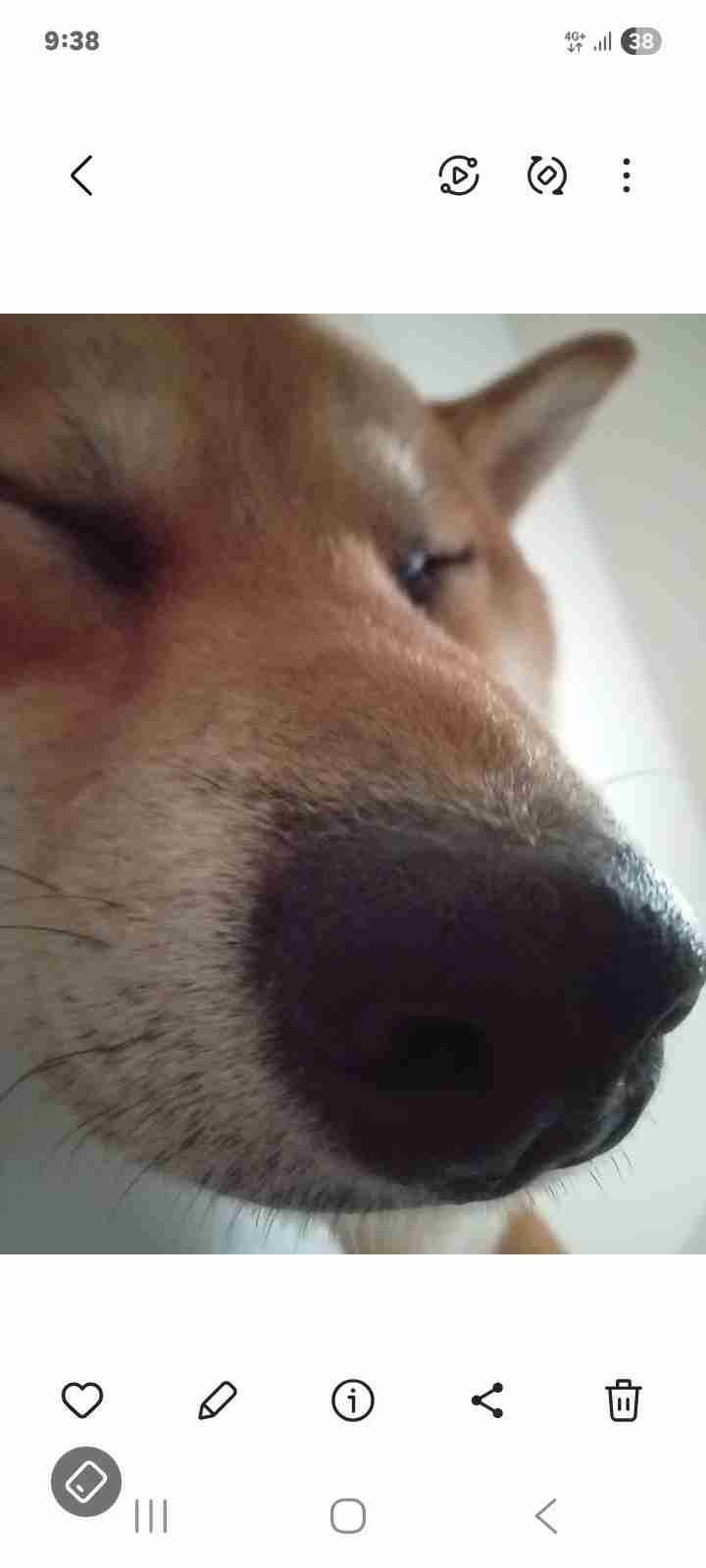 早く家に帰りたい理由