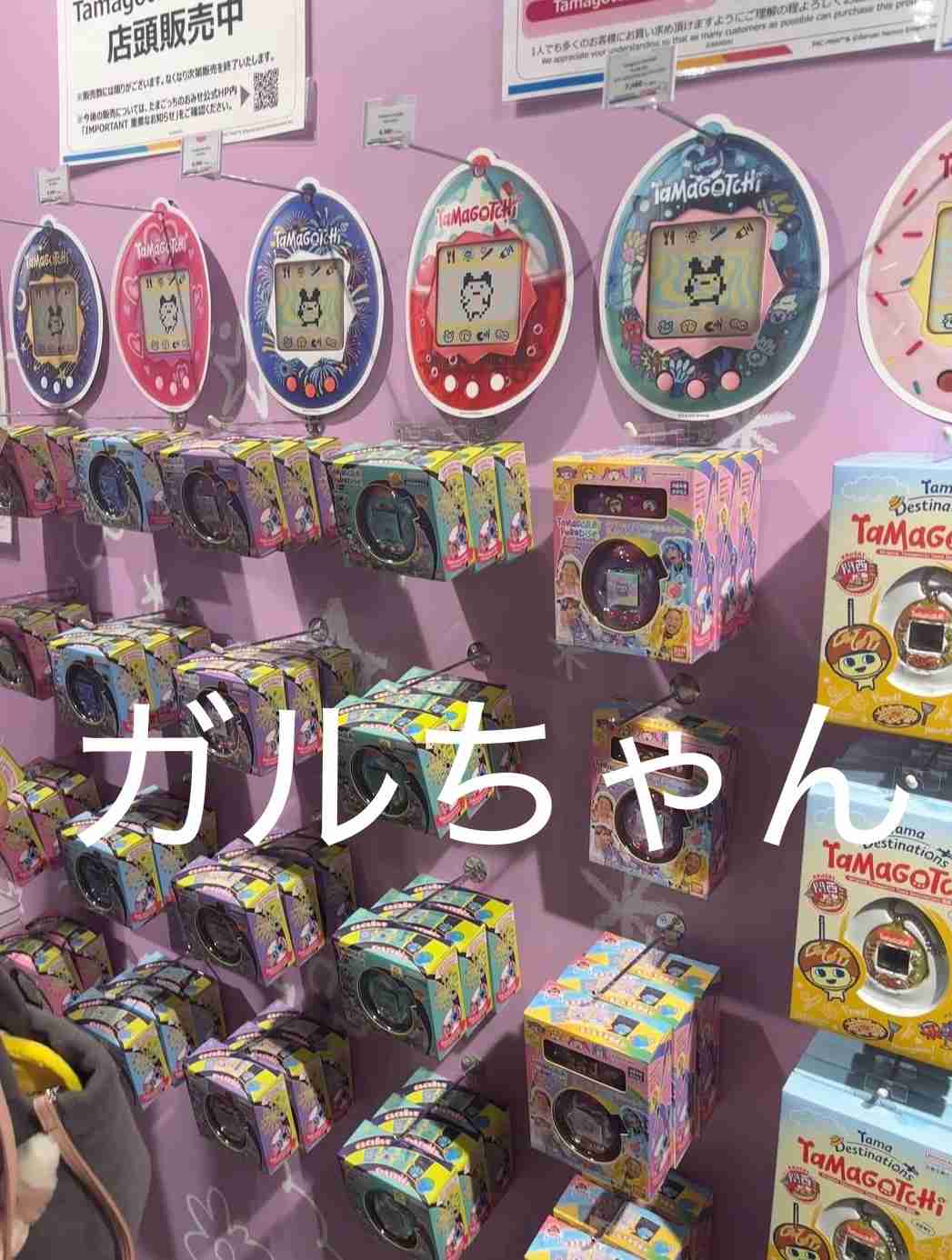 ［クリスマス］手に入れにくい物をリクエストしている