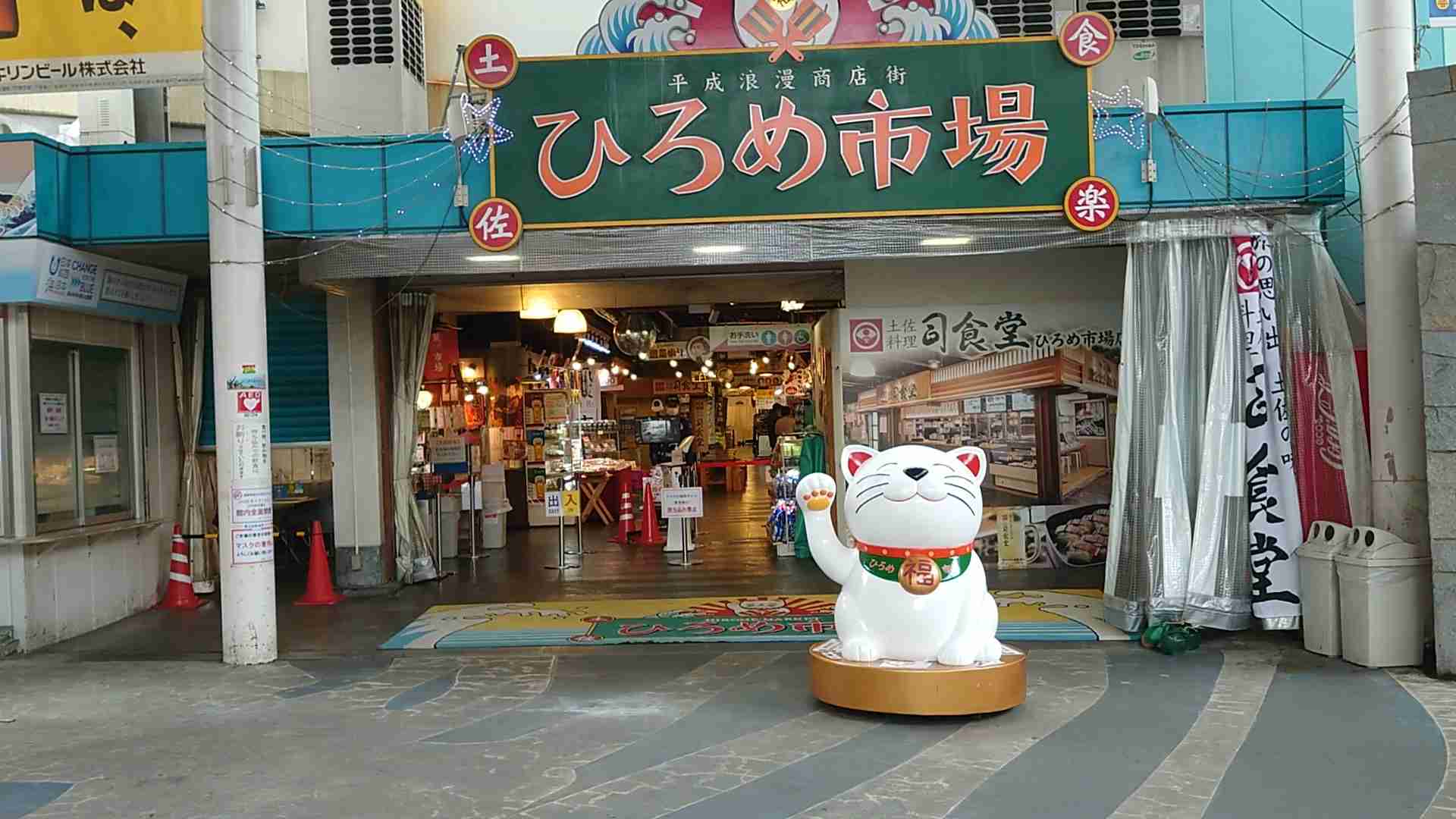 🌳高知県民会🫚