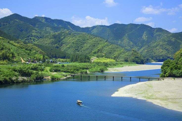 🌳高知県民会🫚