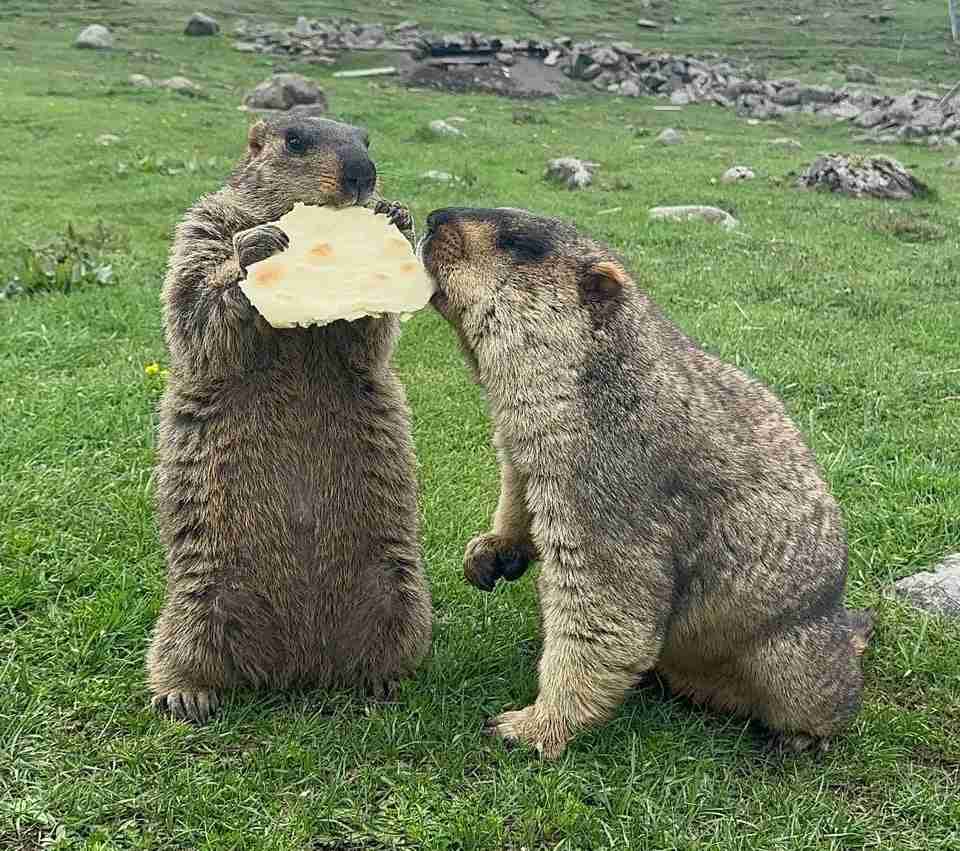 旦那が「何か、かじっていくものある?」と聞く