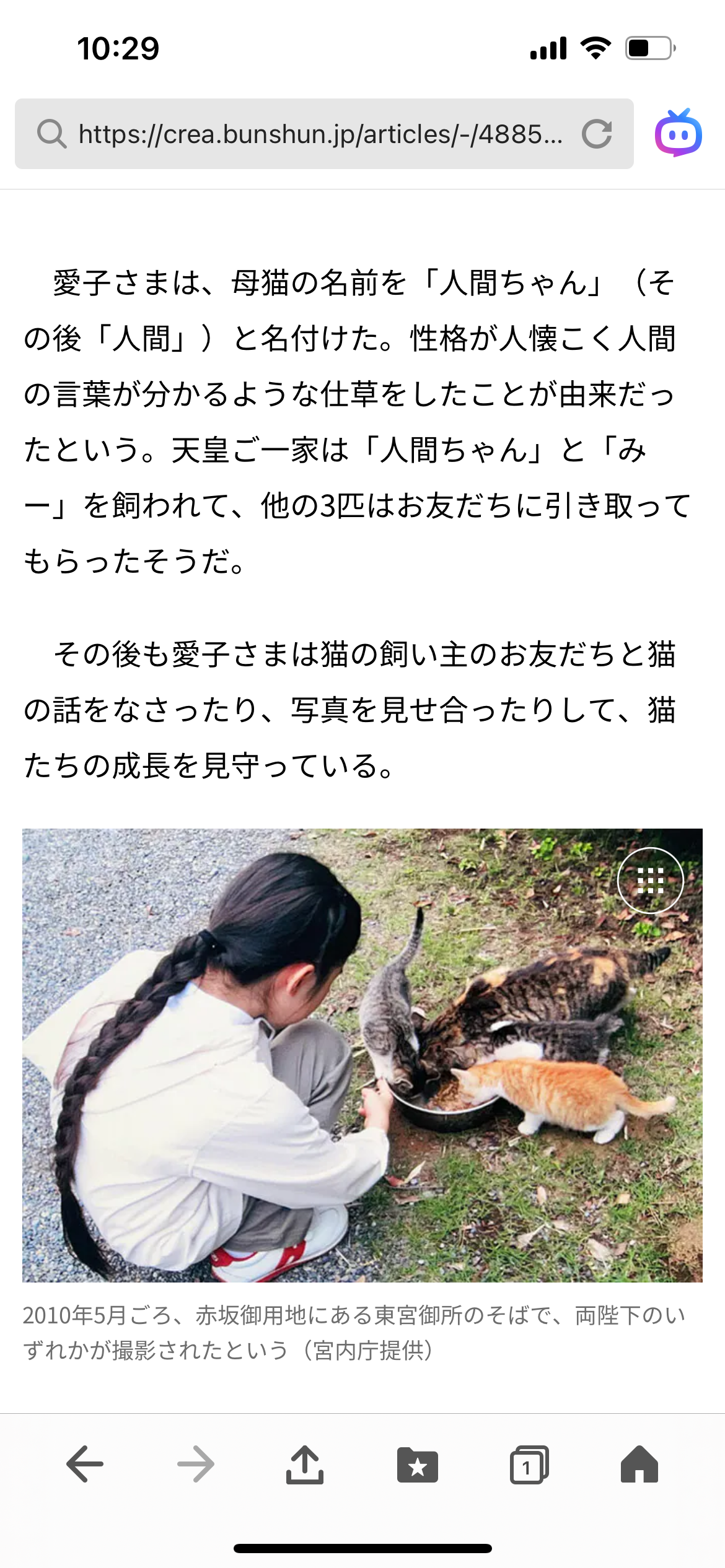 天皇ご一家、新たな保護猫の写真を初公開　名前は「美海」　宮内庁