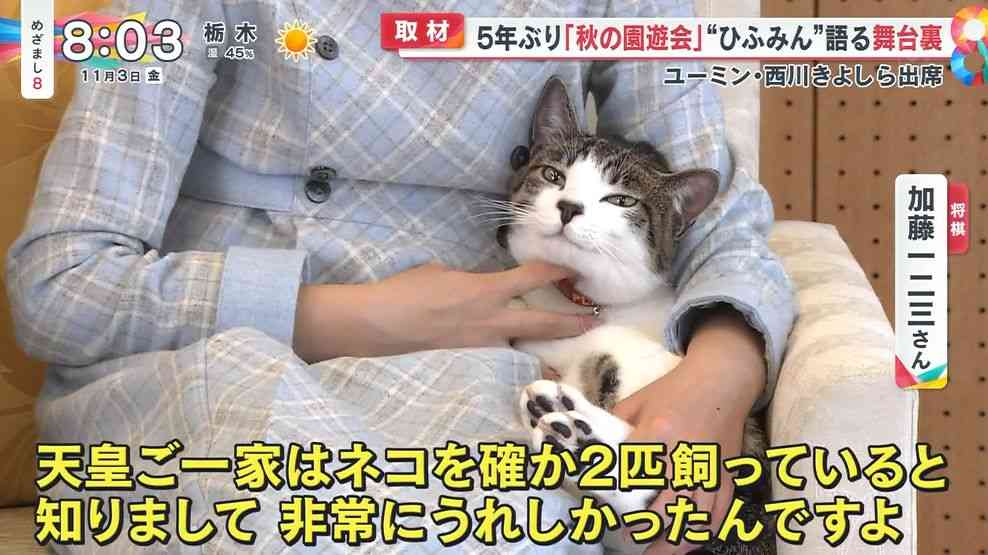 天皇ご一家、新たな保護猫の写真を初公開　名前は「美海」　宮内庁