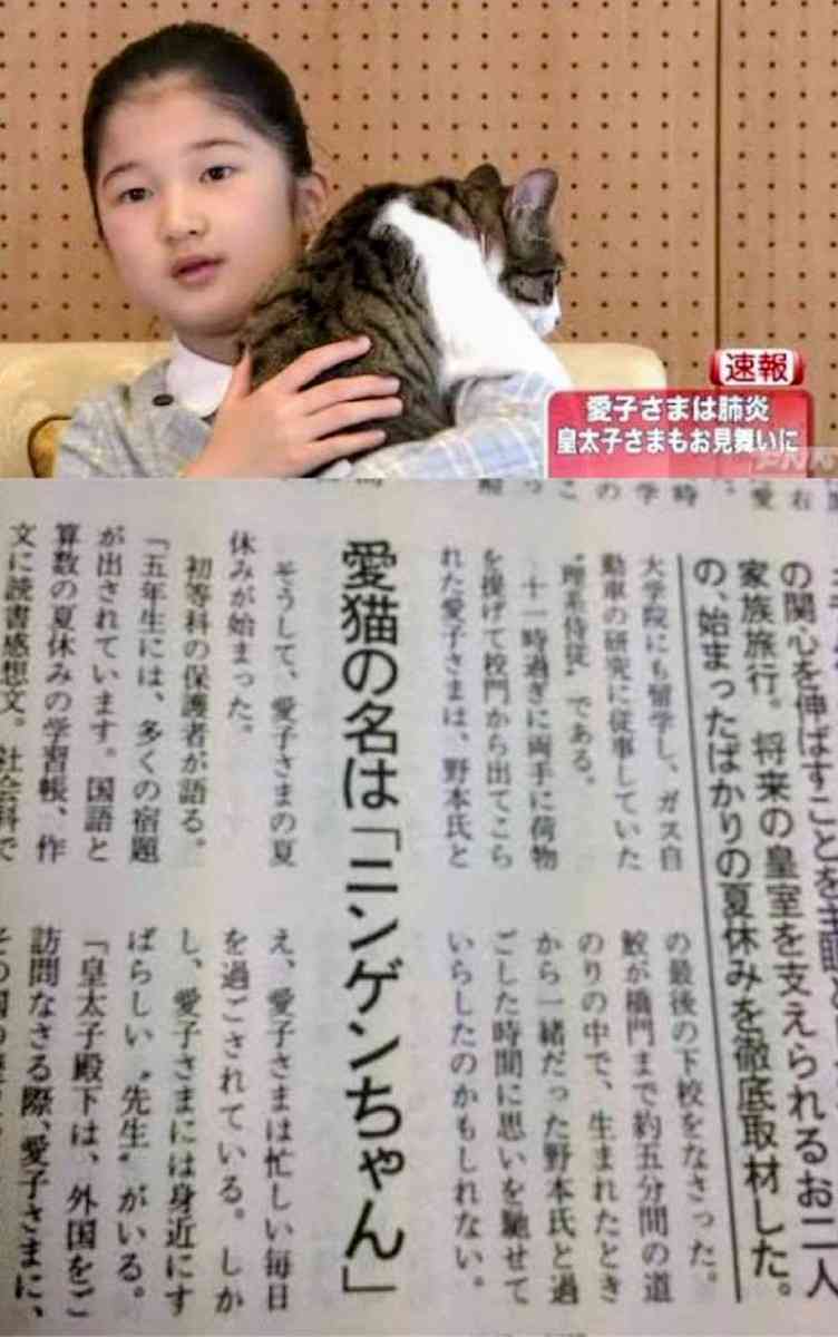 天皇ご一家、新たな保護猫の写真を初公開　名前は「美海」　宮内庁