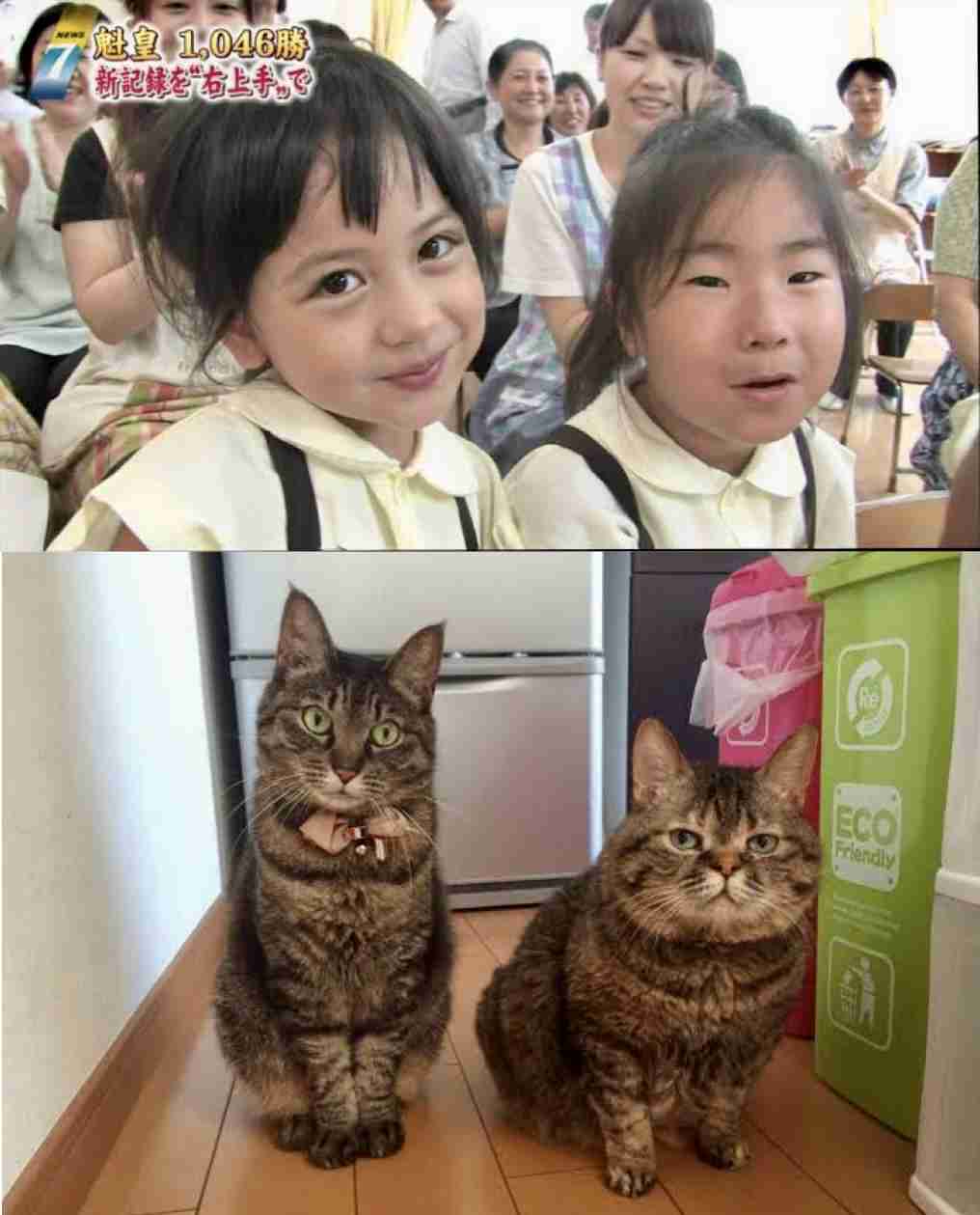 かつてネットで話題になった人たちを懐かしむトピ