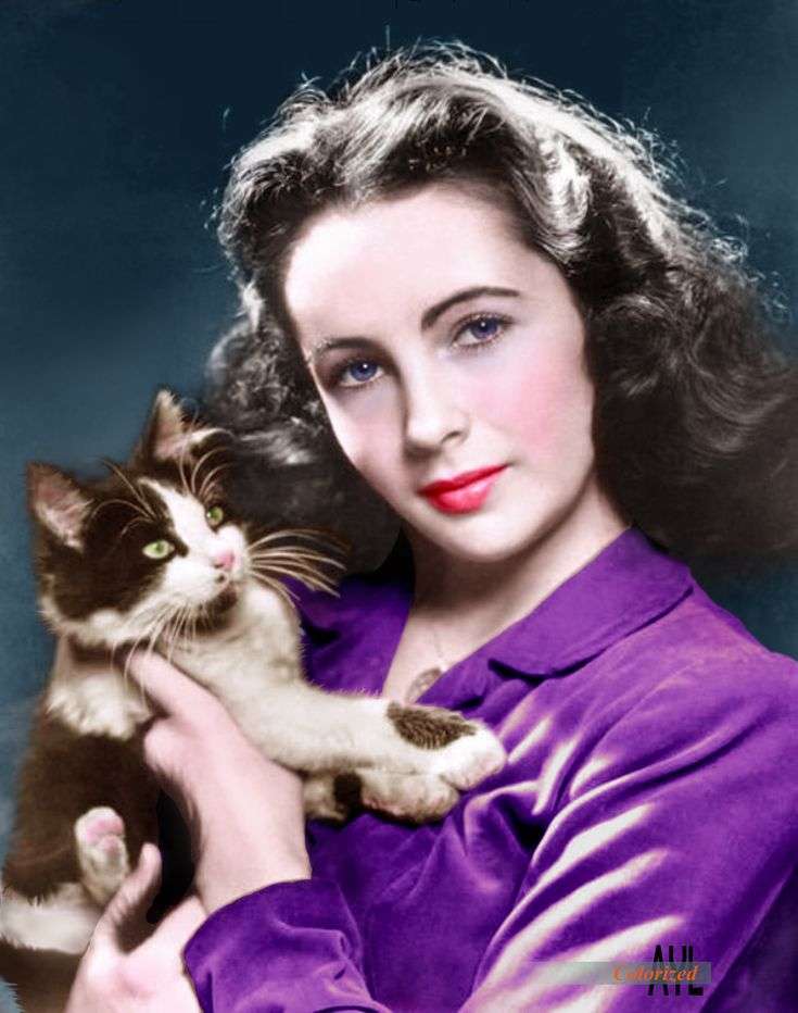 実家がお金持ちの芸能人