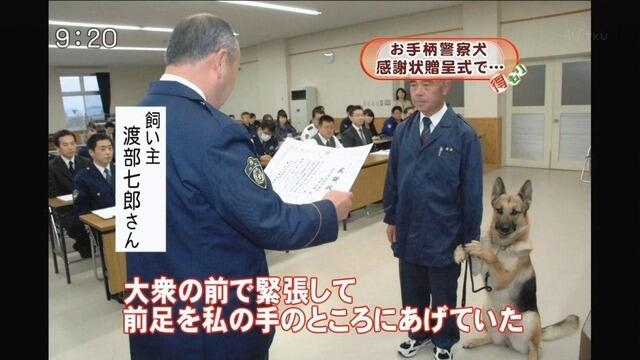 人間万事塞翁が馬な話