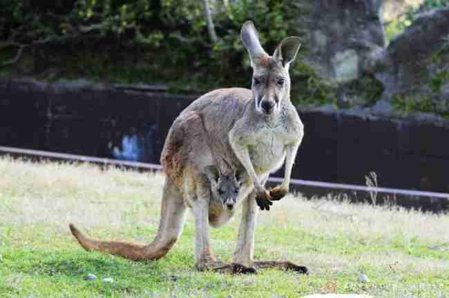 子持ちになると続けるのが難しい仕事