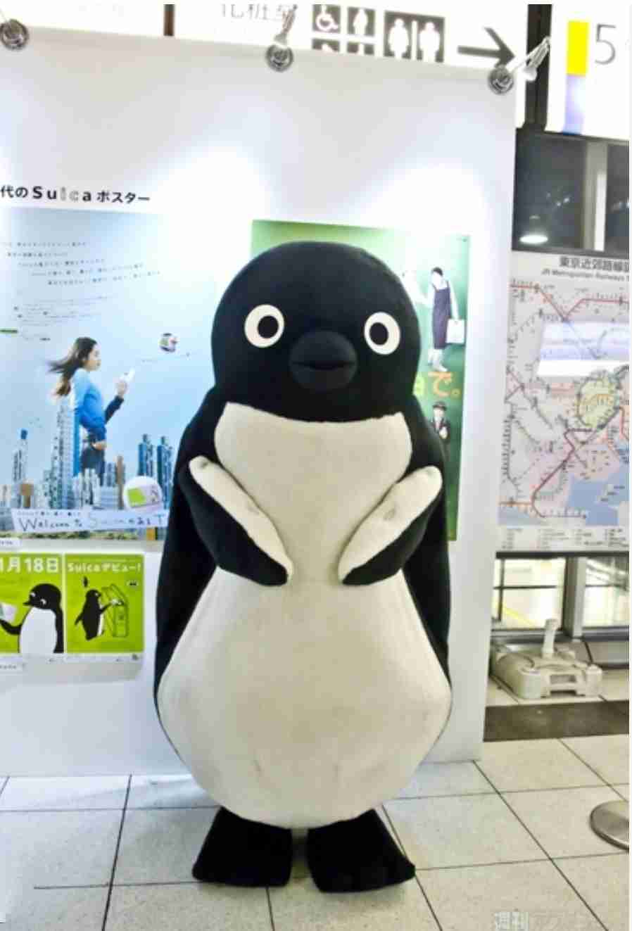 見たら「あら可愛い」と言うかもしれないトピ