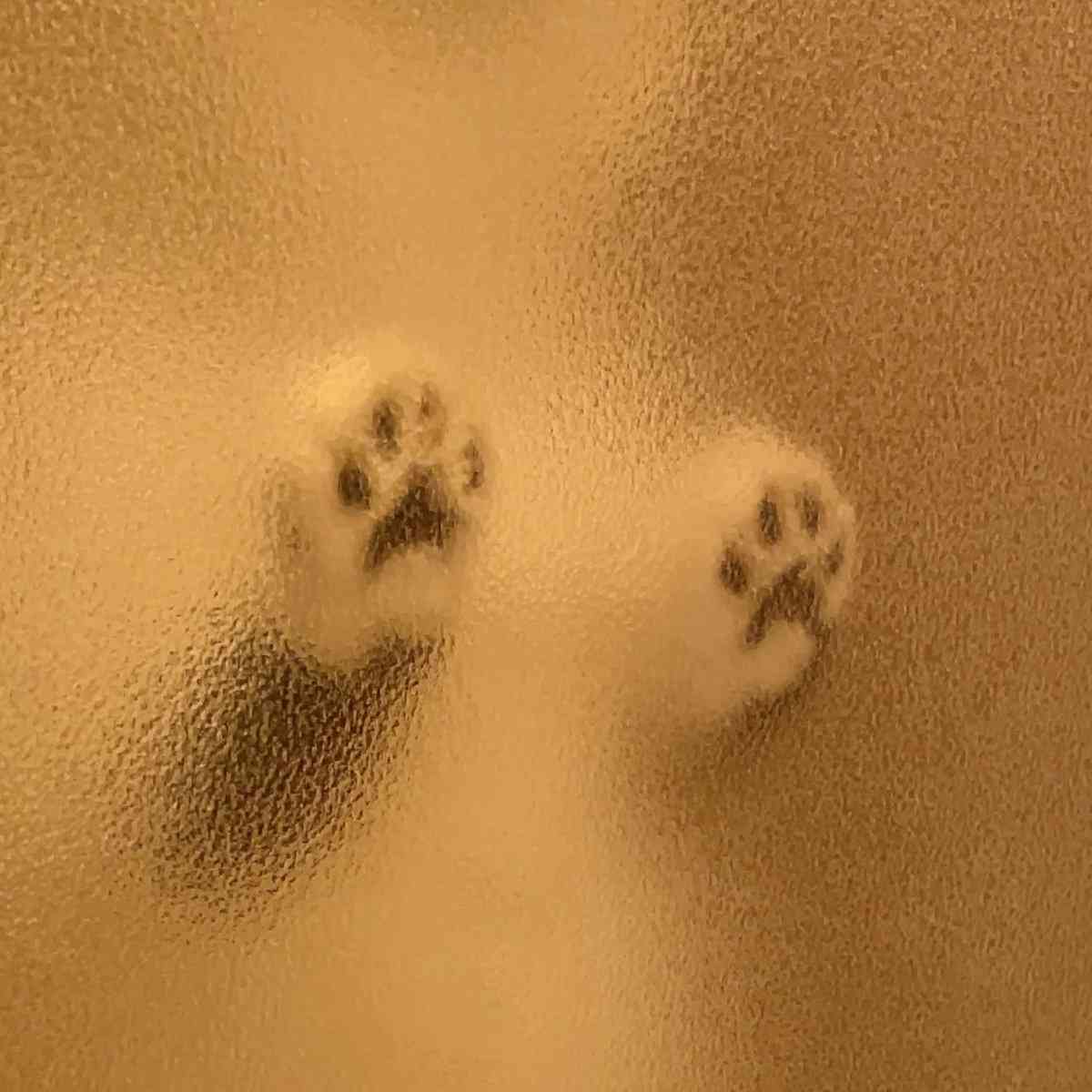 見たら「あら可愛い」と言うかもしれないトピ