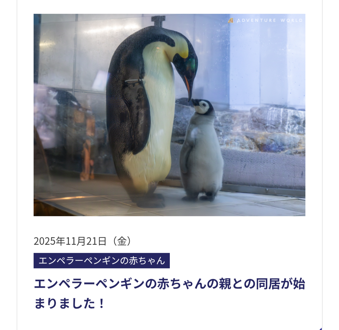 見たら「あら可愛い」と言うかもしれないトピ