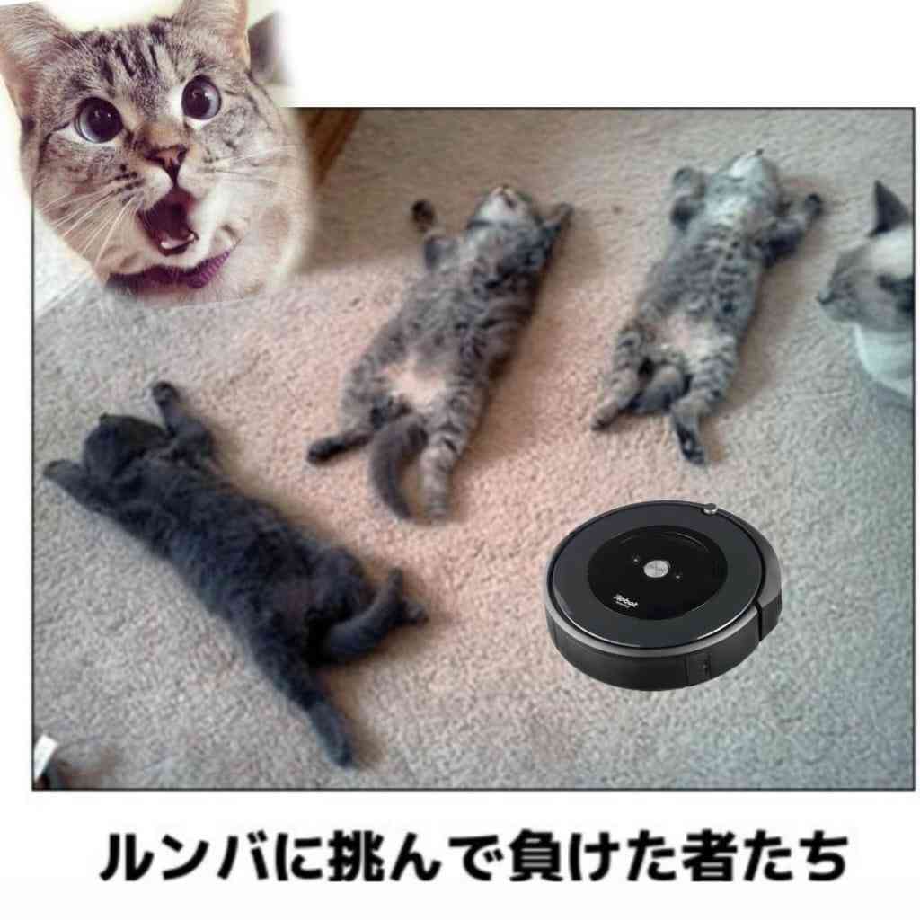 寝る前にクスッとする画像part8