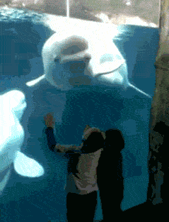 寝る前にクスッとする画像part8