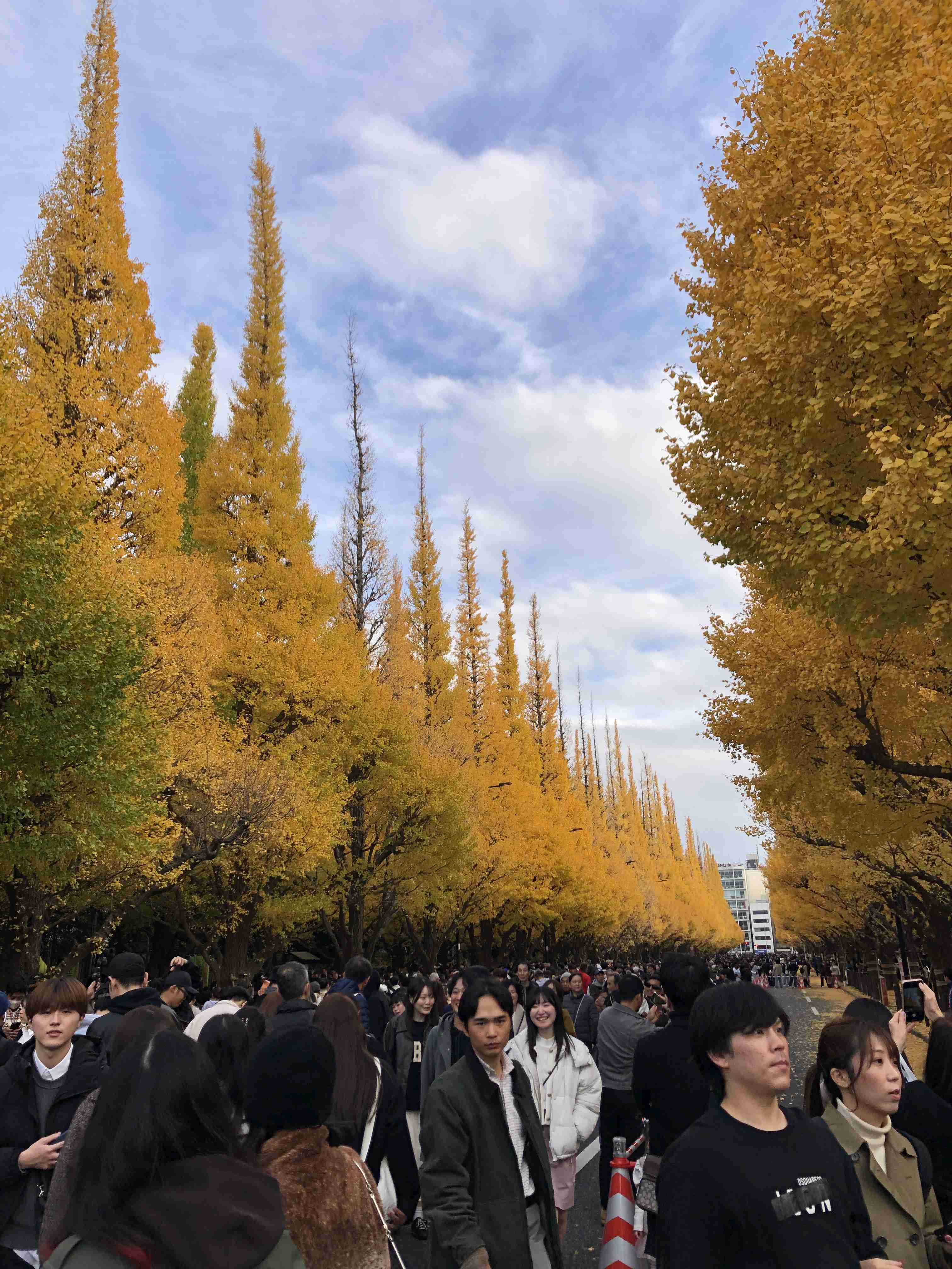 皆んなが撮った今年の紅葉🍁が見たい