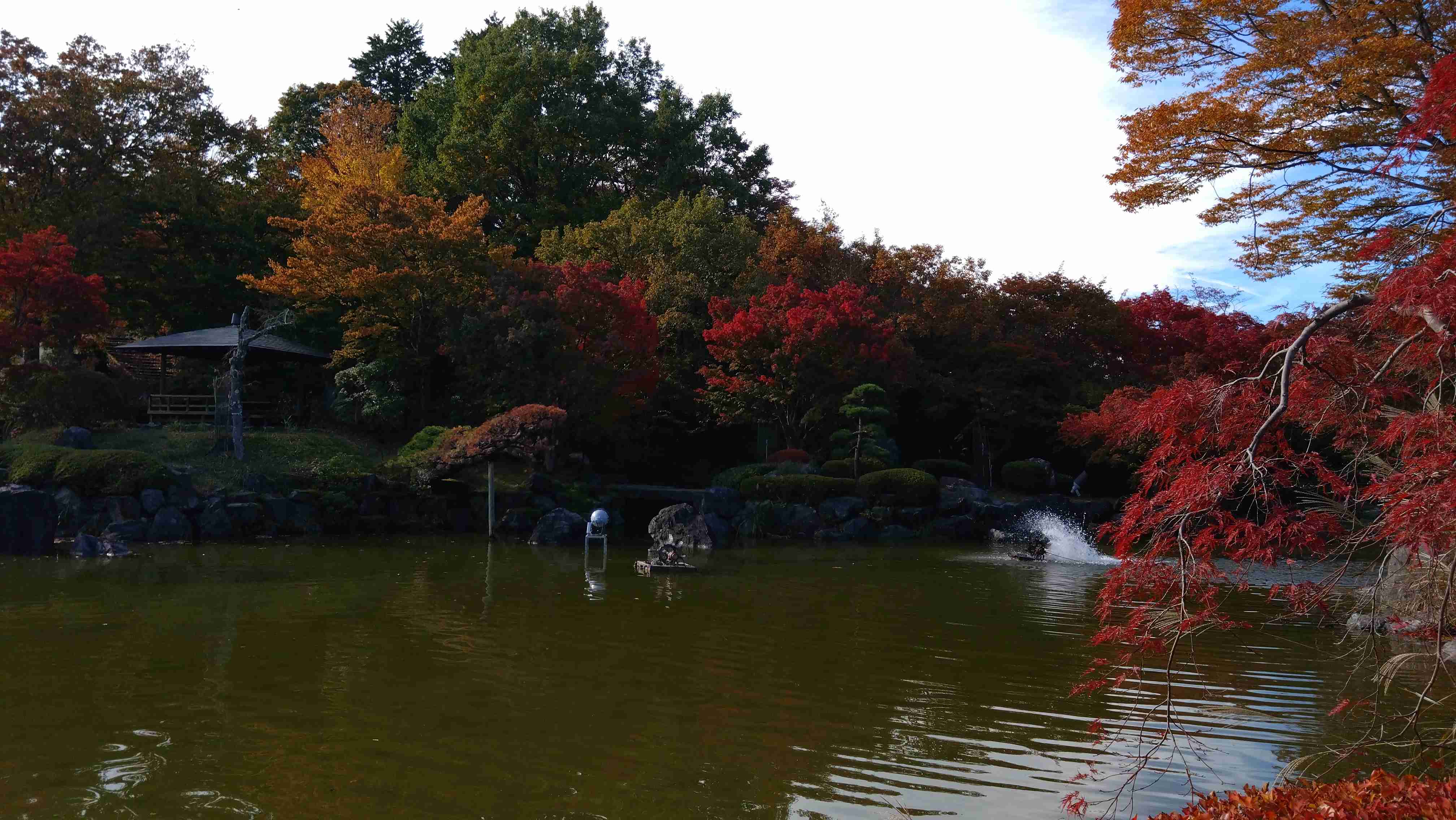 皆んなが撮った今年の紅葉🍁が見たい