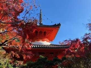 皆んなが撮った今年の紅葉🍁が見たい