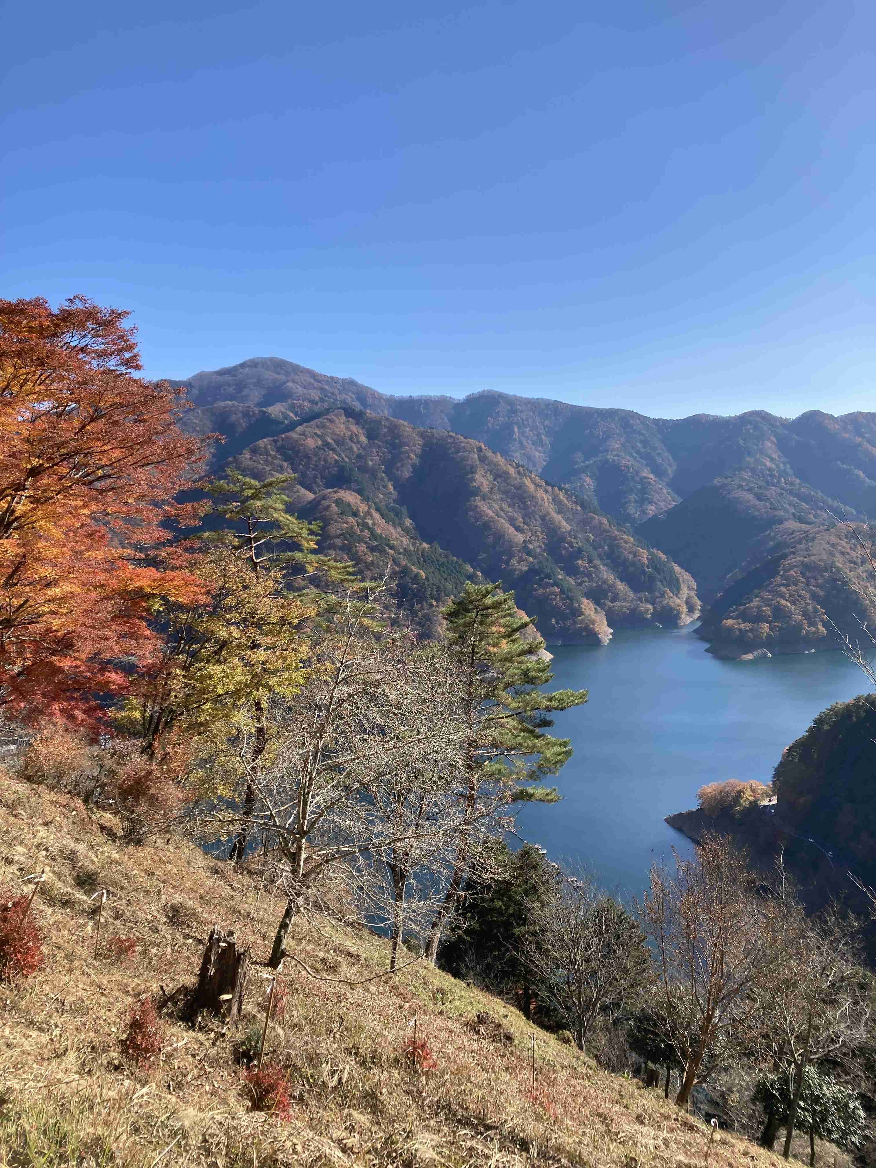 皆んなが撮った今年の紅葉🍁が見たい