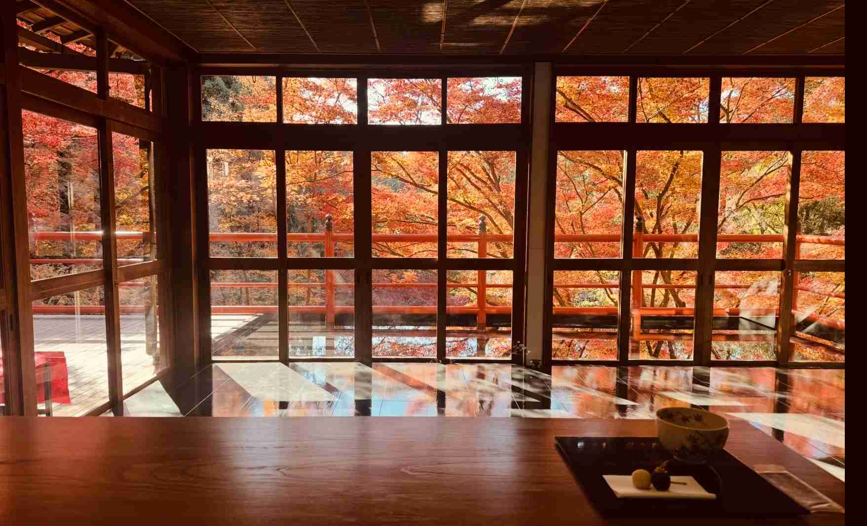 皆んなが撮った今年の紅葉🍁が見たい
