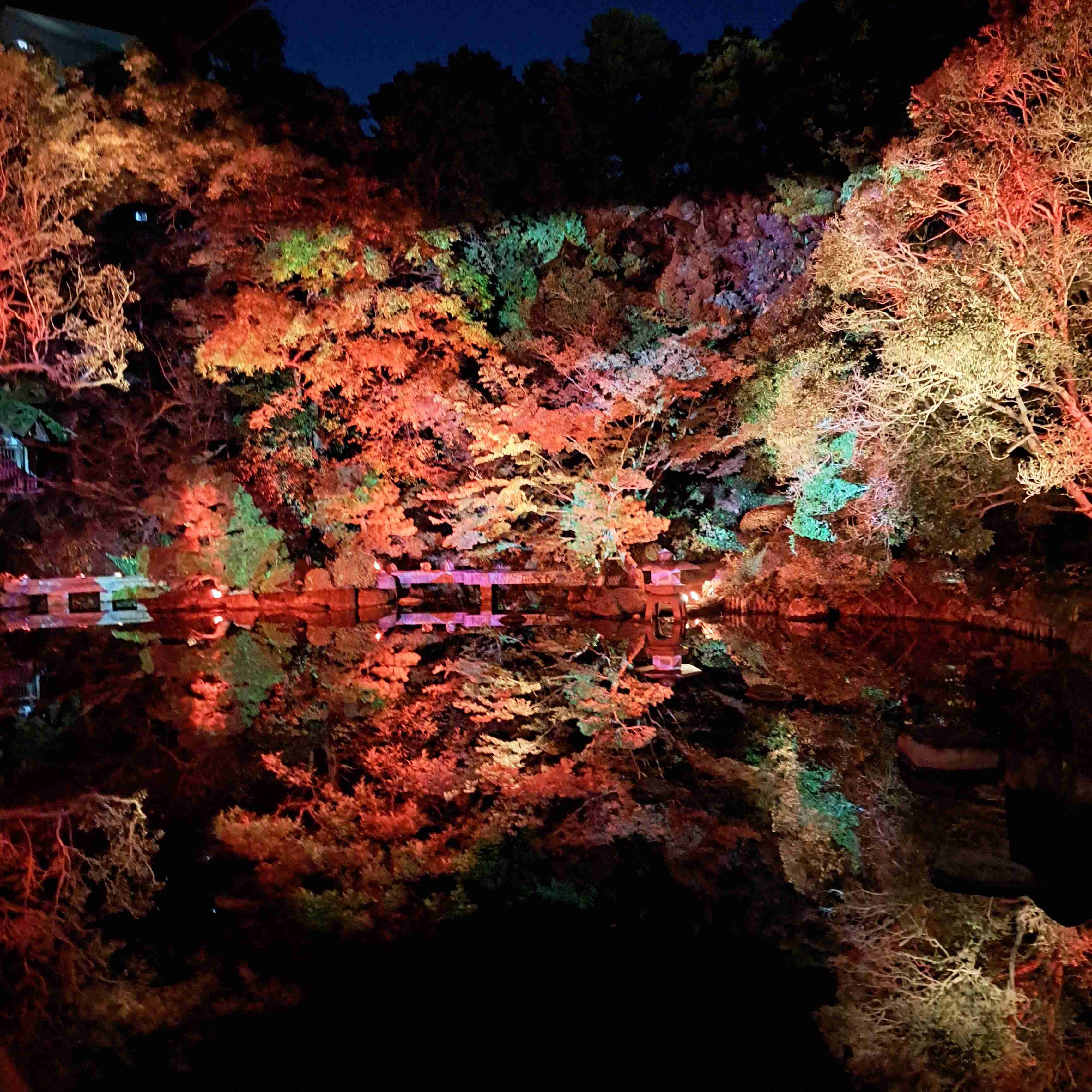 皆んなが撮った今年の紅葉🍁が見たい