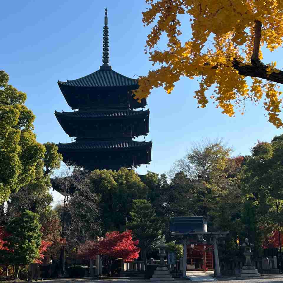 皆んなが撮った今年の紅葉🍁が見たい